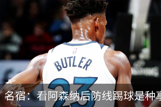 名宿：看阿森纳后防线踢球是种享受